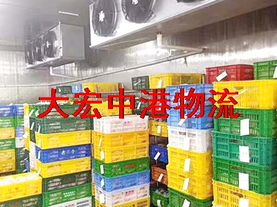  Transportation of frozen food in Hong Kong - transportation of frozen stew in Hong Kong - refrigerated cold chain of frozen dim sum meat balls exported to Hong Kong